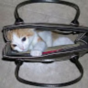 Meet your Posher, Kathleen